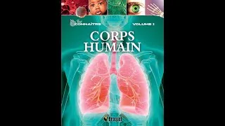 Miniature : Tout connaitre corps humain