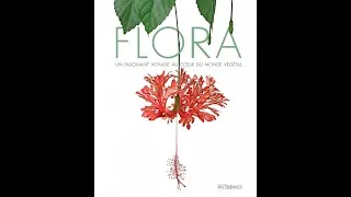 Miniature : Flora - fascinant voyage au coeur du monde végétal