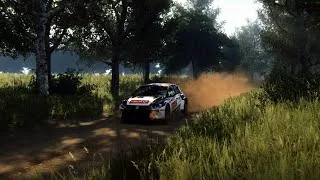 Miniature : Rally de CZARNY LAS en VOLKWAGEN POLO GTI R5