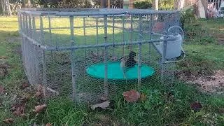 Miniature : VID 20241227 142309