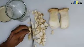 Miniature : COUPER ET CONSERVER VOS PLEUROTES OU CHAMPIGNONS FRAIS.