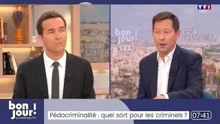 Miniature : «Je crois que ce serait normal que les magistrats ne puissent pas se syndiquer» - FX Bellamy sur TF1