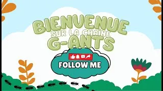 Miniature : Mes Fourmis, ma passion. Bienvenue sur la chaîne G-Ants