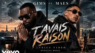 Miniature : GIMS ft  Maesofficiel   T'AVAIS RAISON Official Lyrics Video  09