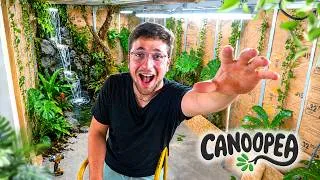 Miniature : Le TERRARIUM de 40m2 prend enfin forme ! Canoopea