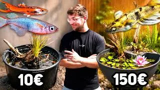 Miniature : Bassin à 10€ Vs 150€ !