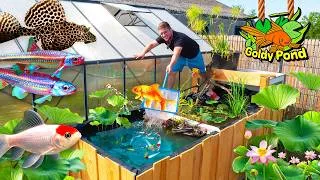 Miniature : Le BASSIN est terminé… Il est temps de mettre les POISSONS ! GoldyPond EP2