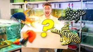 Miniature : On reçoit +100 nouveaux POISSONS hors du commun !