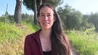 Miniature : J'ai préparé une conférence pour vous sur l'alimentation anti-inflammatoire!