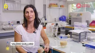Miniature : Décollage Ep1 | Projet Glopack - Valérie Guillard