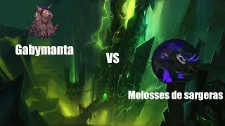 Miniature : [WOW FR]Progress Manta - Molosses de Sargeras HM