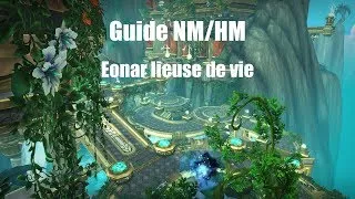 Miniature : [WOW FR]Guide Eonar lieuse de vie NM-HM