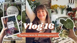 Miniature : Vlog #16 - Déménagement, plantes rares et moments simples 🌿
