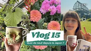 Miniature : Vlog #15 – Une rentrée entre plantes, cartons & thé chaud 🌿☕📦