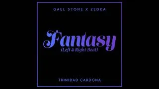 Miniature : Gael Stone - Fantasy (Left & Right Beat) feat. Trinidad Cardona [Instrumental]