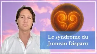 Miniature : Le Syndrome du Jumeau Perdu : abandon, culpabilité de vivre, deuil, etc...