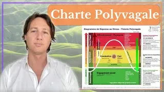 Miniature : La Charte Polyvagale par Gaëtan Klein