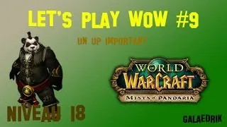 Miniature : [(HD/FR) Let's play WoW #9] Un up important