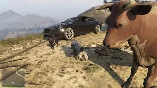 Miniature : Migration to los Santos
