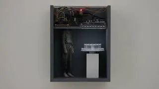 Miniature : Guillaume Lachapelle : Fait fi du fait
