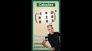 Miniature : Puissance de matrices diagonales - Exercices corrigés - Maths expertes terminale