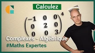 Miniature : Puissance de matrices diagonales - Exercices corrigés - Maths expertes terminale