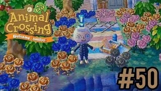 Miniature : Let's Play Animal Crossing New Leaf FR #50 Des roses dorées !?
