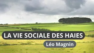 Miniature : La vie sociale des haies - Léo Magnin