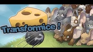 Miniature : Transformice