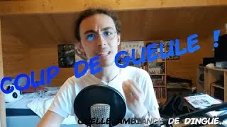 Miniature : COUP DE GUEULE (superbe ambiance pour le retour...)
