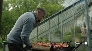 Miniature : Gamm vert - Spot TV 2025 :  J’suis aux tomates !