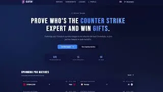 Miniature : I built the ultimate CS2 Fantasy League to play with friends !