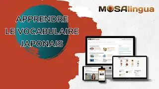 Miniature : MOSALINGUA PREMIUM JAPONAIS : Test + Tutoriel pour bien démarrer