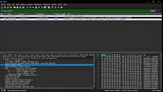 Miniature : ✅ En-tête Ip explicité à l'aide du sniffeur Wireshark 🦈