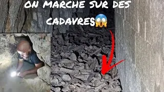 Miniature : LES CATACOMBES DE PARIS (interdite)