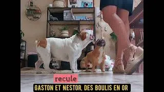Miniature : petit entraînement