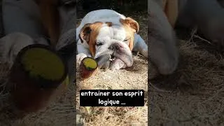 Miniature : inspecteur Néness la Bavouille