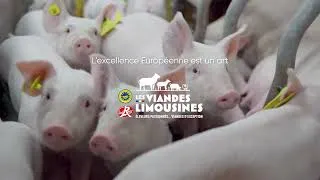Miniature : Découverte d'un élevage de Porc du Limousin avec le chef Guillaume Sanchez