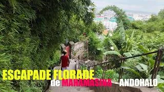 Miniature : “Escapade Florale : De Mahamasina à Andohalo” Madagascar 2026 -4k