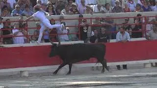 Miniature : LE 27:07:26 BEAUCAIRE FINALE DE LA PALME D'OR