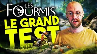 Miniature : Les fourmis : le GRAND TEST 🐜 Après 40H de JEU