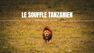 Miniature : LE SOUFFLE TANZANIEN - Voyage humanitaire 🇹🇿