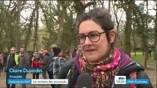 Miniature : STOP A69 : une victoire pour les écureuils et les opposant·es à l'A69