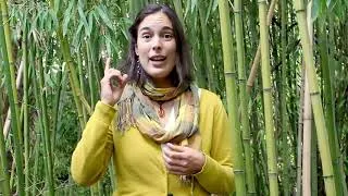 Miniature : Etape 7/7 | L'information sur la vitamine B12 qui m'a convaincue de devenir végane
