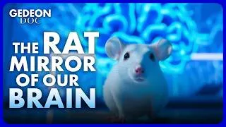 Miniature : Mind Control : How rats are shaping neuroscience | GEDEON DOC