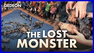 Miniature : The Lost World of Brazil’s Megafauna : A Paleontological Revolution | GEDEON DOC