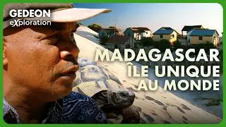 Miniature : Madagascar : comment sauver une nature unique au monde ? | GEDEON EXPLORATION