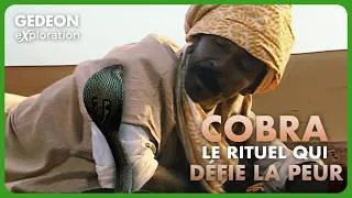 Miniature : Rituels et transe avec les cobras | GEDEON EXPLORATION