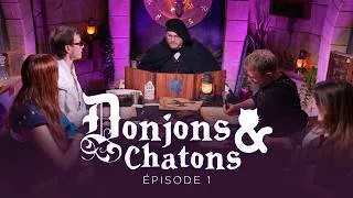 Miniature : [JDR Donjons & Chatons - EP1]
