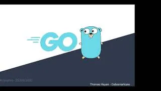 Miniature : Geeks Anonymes - Le langage Go